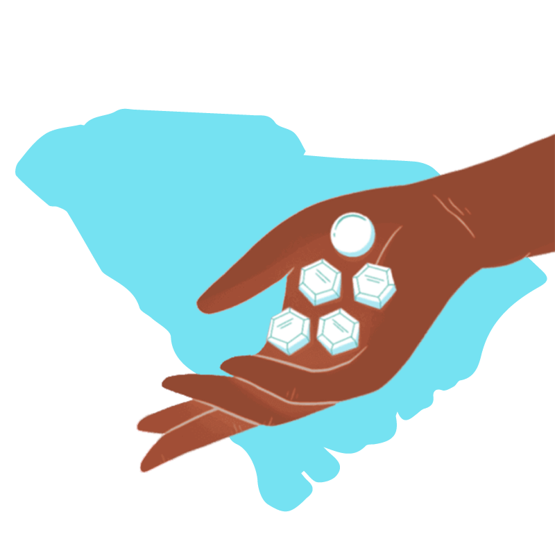 Abortion pill South Carolina